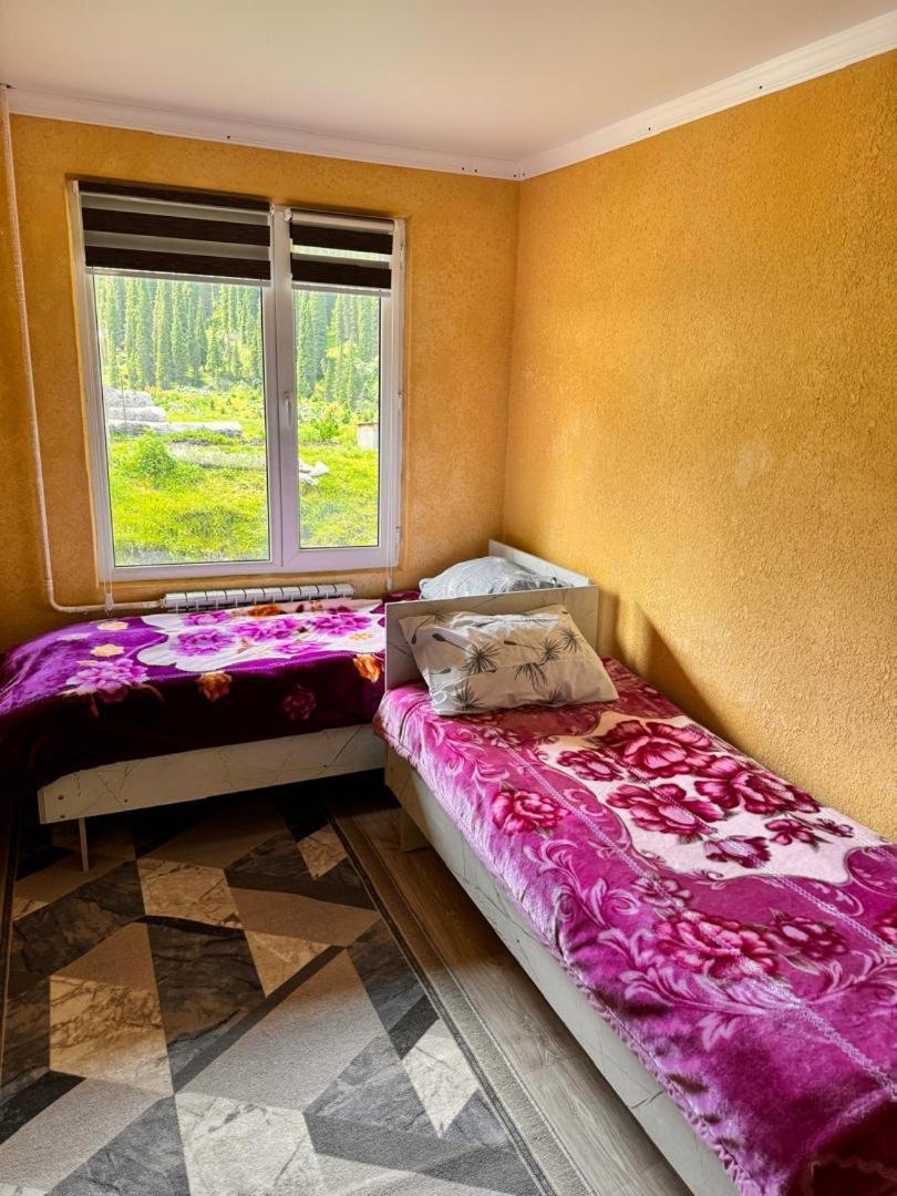 Ala-Kul Guesthouse In Altyn-Arashan Karakoł Zewnętrze zdjęcie