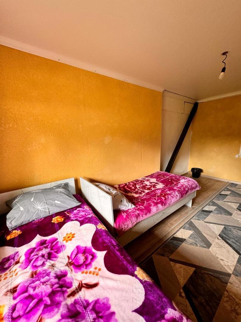 Ala-Kul Guesthouse In Altyn-Arashan Karakoł Zewnętrze zdjęcie