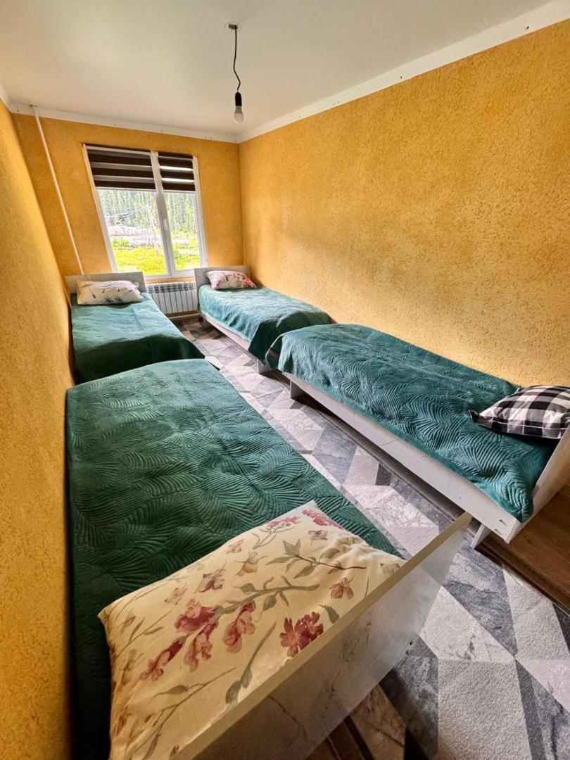 Ala-Kul Guesthouse In Altyn-Arashan Karakoł Zewnętrze zdjęcie