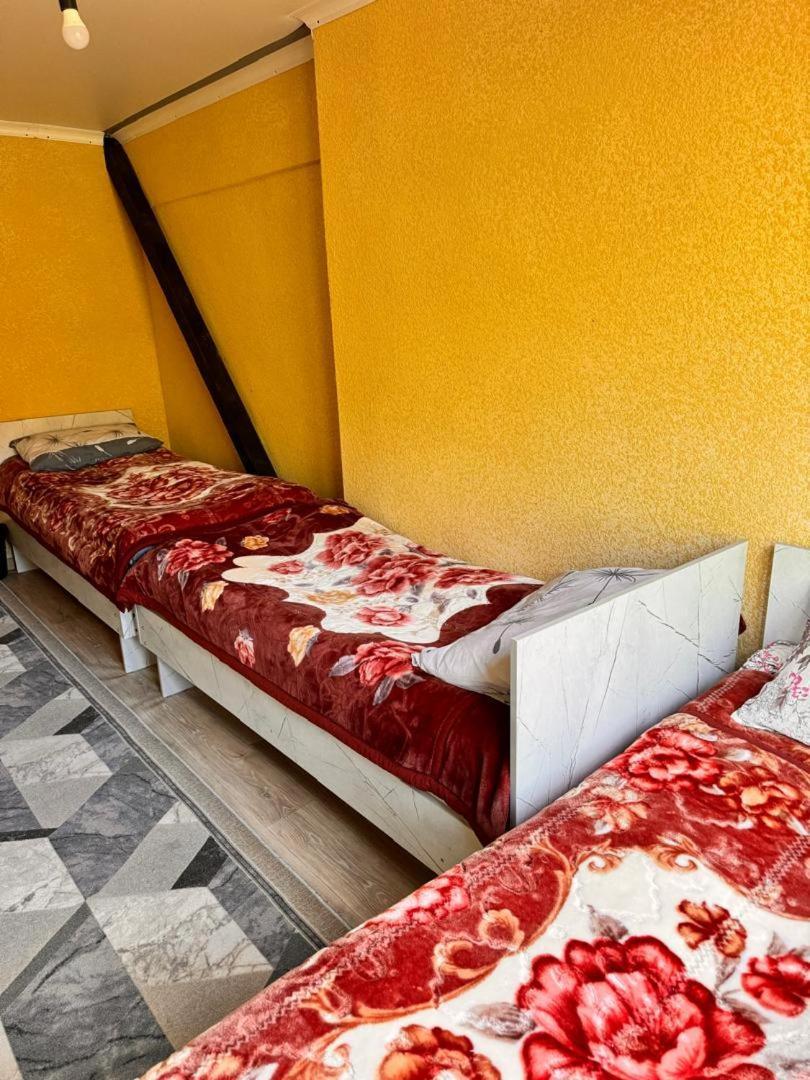 Ala-Kul Guesthouse In Altyn-Arashan Karakoł Zewnętrze zdjęcie
